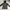 Sport jacket Hoodie k-swiis photo 1