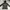 Sport Jacket Hoodie K-swiis