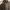 Uniqlo Streetwear Puffer jacket Pria brown photo 5