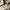 Longshirt by Underwood photo 5
