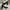 Payless High Heels photo 1