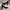 Payless High Heels