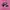 Puma Speedcat Black Pink photo 1