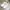 White Sneakers photo 2