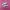 Puma Speedcat Ballet Pink White photo 1