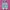Puma Speedcat Ballet Pink White photo 3