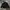 COVERNAT Authentic Coach Sherpa Jacket (L) photo 1