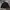 COVERNAT Authentic Coach Sherpa Jacket (L)