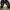 Nike tn photo 4
