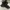 yeezy 350 photo 3