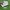 Adidas Gazelle II beige  photo 1