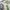 ZARA Man Aztec Pattern Hawaiian Short Sleeve Shirt photo 5