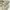 ZARA Man Aztec Pattern Hawaiian Short Sleeve Shirt photo 4