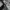 M51 Korean Army photo 7