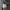 M51 Korean Army photo 6