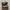 Salomon XA Pro Ghost Grey  photo 2