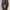 Carpenter carhartt single knee jogger pants photo 8