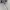 Polo Shirt Louis Castel Putih White Short Shirt Second photo 3