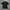 Jersey Drifit Nike Pro Short Sleeve Shirt Stretch Fit Second photo 1