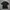 Jersey Drifit Nike Pro Short Sleeve Shirt Stretch Fit Second