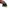 Vans Oldskool Polkadot Shoes Kids photo 4