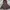 dress fitbody photo 6