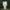 simple white dress  photo 1