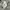 Nike Luxury Sportswear Sweatpants & Joggers Pria gray photo 5
