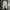 Nike Luxury Sportswear Sweatpants & Joggers Pria gray photo 1