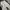 Nike Luxury Sportswear Sweatpants & Joggers Pria gray photo 2