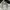 Nike Luxury Sportswear Sweatpants & Joggers Pria gray photo 4