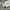 Nike Luxury Sportswear Sweatpants & Joggers Pria gray photo 6