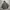 Special Bled Snowboard Jacket