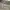 Champion Brooklyn NYC Sweatpants Grey photo 4