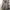 Vintage Streetwear Parka Wanita tan photo 1