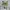 90s LA Summer Fest Single Stitch photo 3