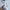 RALPH LAUREN WHITE SHIRT 3COLOR photo 3