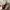 RALPH LAUREN WHITE SHIRT 3COLOR photo 6