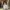 RALPH LAUREN WHITE SHIRT 3COLOR photo 4