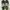 Adidas Harden Vol. 4 'Black Signal Green' (Basket Ball)