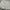White Short photo 1