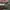 Adidas Yeezy Boost 350 V2 (preloved) photo 3
