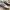 Adidas Spezial photo 2