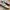 Adidas Spezial photo 2