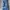 demoan - spam baggy jeans photo 2