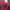 Crop Red HELLO photo 3