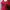 Crop Red HELLO photo 2