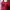 Crop Red HELLO