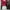 Crop Red HELLO photo 1