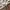 Natego jacket windbreakers gorpcore casual photo 8